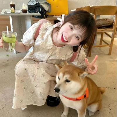 缄默的迷宫